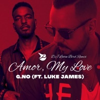 Thumbnail for the Gno - Amor, My Love [DJ Latin Bird Remix] link, provided by host site