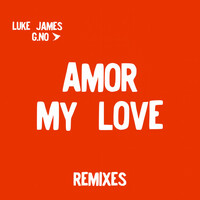Thumbnail for the Luke James - Amor, My Love (Remixes) link, provided by host site