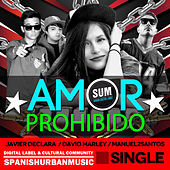 Thumbnail for the Manuel2Santos - Amor Prohibido link, provided by host site