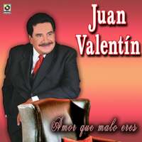 Thumbnail for the Juan Valentin - Amor Que Malo Eres link, provided by host site