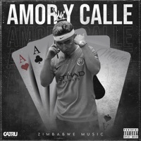 Thumbnail for the MAGIC! - Amor y Calle link, provided by host site