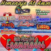 Thumbnail for the Los Terricolas - Amores Prohibidos link, provided by host site