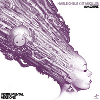Thumbnail for the Harleighblu - Amorine (Instrumental Versions) link, provided by host site