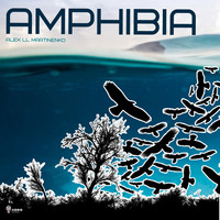 Thumbnail for the Pablo Moriego - Amphibia - Pablo Moriego Remix link, provided by host site