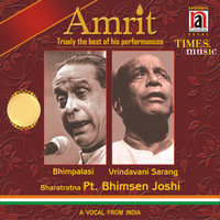Image of Bhimsen Joshi linking to their artist page due to link from them being at the top of the main table on this page