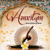 Thumbnail for the Ronu Majumdar - Amritam link, provided by host site
