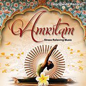 Thumbnail for the Pandit Ronu Majumdar - Amritam link, provided by host site