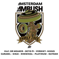 Thumbnail for the Carasel - Amsterdam link, provided by host site