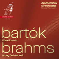 Image of Amsterdam Sinfonietta linking to their artist page due to link from them being at the top of the main table on this page