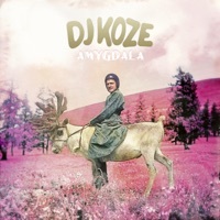 Thumbnail for the DJ Koze - Amygdala (Bonus Track Version) link, provided by host site