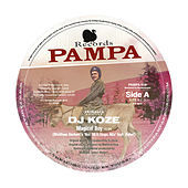 Thumbnail for the DJ Koze - Amygdala (Remixes, Pt. 1) link, provided by host site