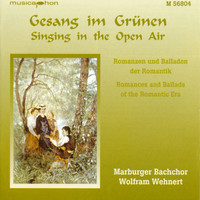 Thumbnail for the Michael Haydn - An den Wald link, provided by host site