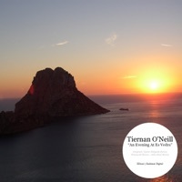 Thumbnail for the Tiernan O'Neill - An Evening At Es Vedra link, provided by host site