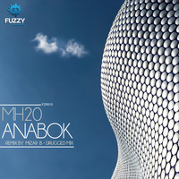 Thumbnail for the Mizar B - Anabok - Mizar B Remix link, provided by host site