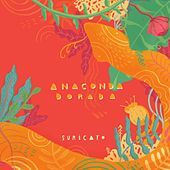 Thumbnail for the Suricato - Anaconda Dorada link, provided by host site