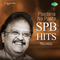 Thumbnail for the S. P. Balasubrahmanyam - Ananda Paramanda (From "Sri Manjunatha") link, provided by host site