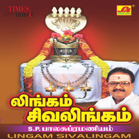 Thumbnail for the Krishnaraj - Anandam Anandam link, provided by host site