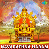 Thumbnail for the Ravi Shankar - Anandamayi link, provided by host site