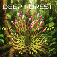 Thumbnail for the Deep Forest - Anatolia link, provided by host site