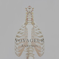 Thumbnail for the Voyageur - Anatomy link, provided by host site