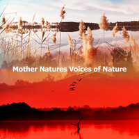 Image of Echoes Of Nature linking to their artist page due to link from them being at the top of the main table on this page