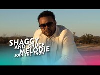 Thumbnail for the Shaggy - And Bruce Melodie Join the Cast link, provided by host site