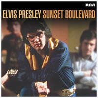 Thumbnail for the Elvis Presley - And I Love You So (Take 2) link, provided by host site