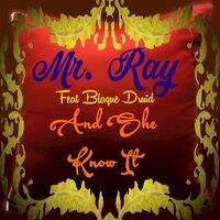 Thumbnail for the Mr. Ray - And She Know It link, provided by host site