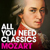 Thumbnail for the Kurt Berger - Andante for Flute in C Major, K. 315 link, provided by host site