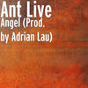 Thumbnail for the Ant Live - Angel link, provided by host site