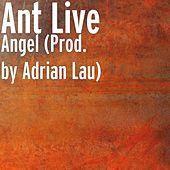 Thumbnail for the Ant Live - Angel link, provided by host site