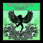 Thumbnail for the Why Not - Angel link, provided by host site