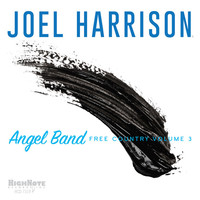 Thumbnail for the Joel Harrison - Angel Band: Free Country, Vol. 3 link, provided by host site