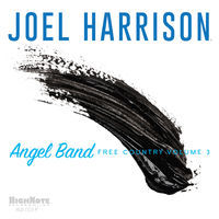 Thumbnail for the Joel Harrison - Angel Band: Free Country, Vol. 3 link, provided by host site