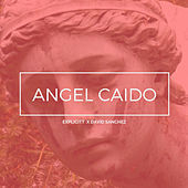 Thumbnail for the David Sanchez - Angel Caído link, provided by host site