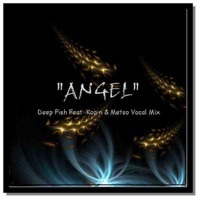 Thumbnail for the Deepfish - Angel (Kopin & Metso Vocal House Mix) link, provided by host site