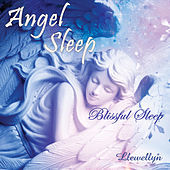 Thumbnail for the Llewellyn - Angel Sleep - Blissful Sleep link, provided by host site