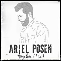 Thumbnail for the Ariel Posen - Angeline link, provided by host site
