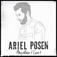 Thumbnail for the Ariel Posen - Angeline link, provided by host site
