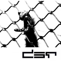 Thumbnail for the Cesar D' Constanzzo - Animal link, provided by host site