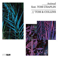 Thumbnail for the Tom & Collins - Animal link, provided by host site