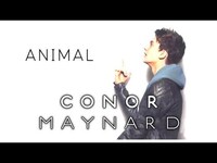 Thumbnail for the Conor Maynard - Animal link, provided by host site