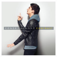 Thumbnail for the Conor Maynard - Animal link, provided by host site