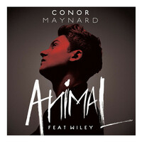 Thumbnail for the Conor Maynard - Animal link, provided by host site