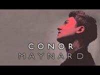 Thumbnail for the Conor Maynard - Animal link, provided by host site