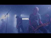 Thumbnail for the Jesus Jones - Animal Instinct link, provided by host site