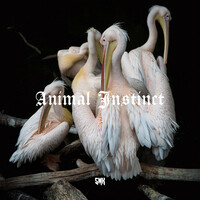 Thumbnail for the Smk - Animal Instinct link, provided by host site
