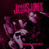 Thumbnail for the Jesus Jones - Animal Instinct link, provided by host site