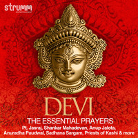 Thumbnail for the P Unni Krishnan - Annapoorne Sada Poorne link, provided by host site