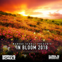 Thumbnail for the Libra - Anomaly (Calling Your Name) (GDJB In Bloom 2018) - Markus Schulz Remix link, provided by host site